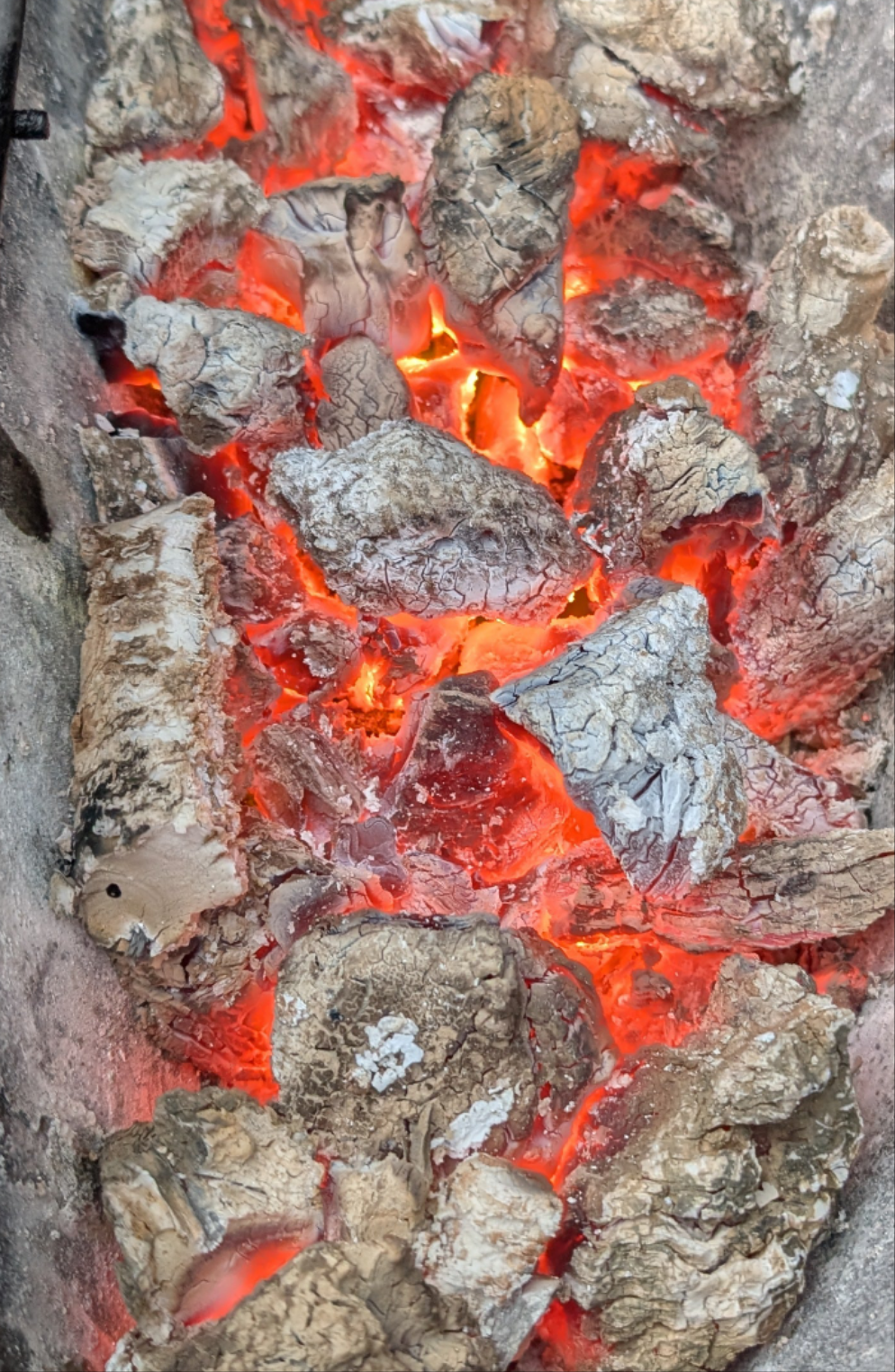 Wattle & Flame Mallee Root Charcoal - Classic