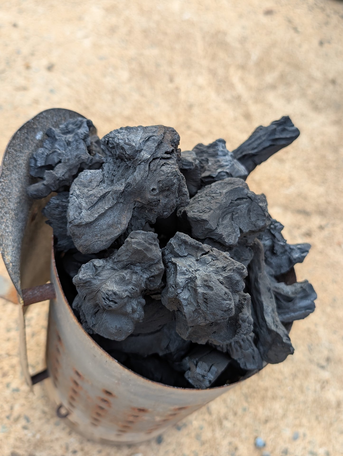 Wattle & Flame Mallee Root Charcoal - Signature