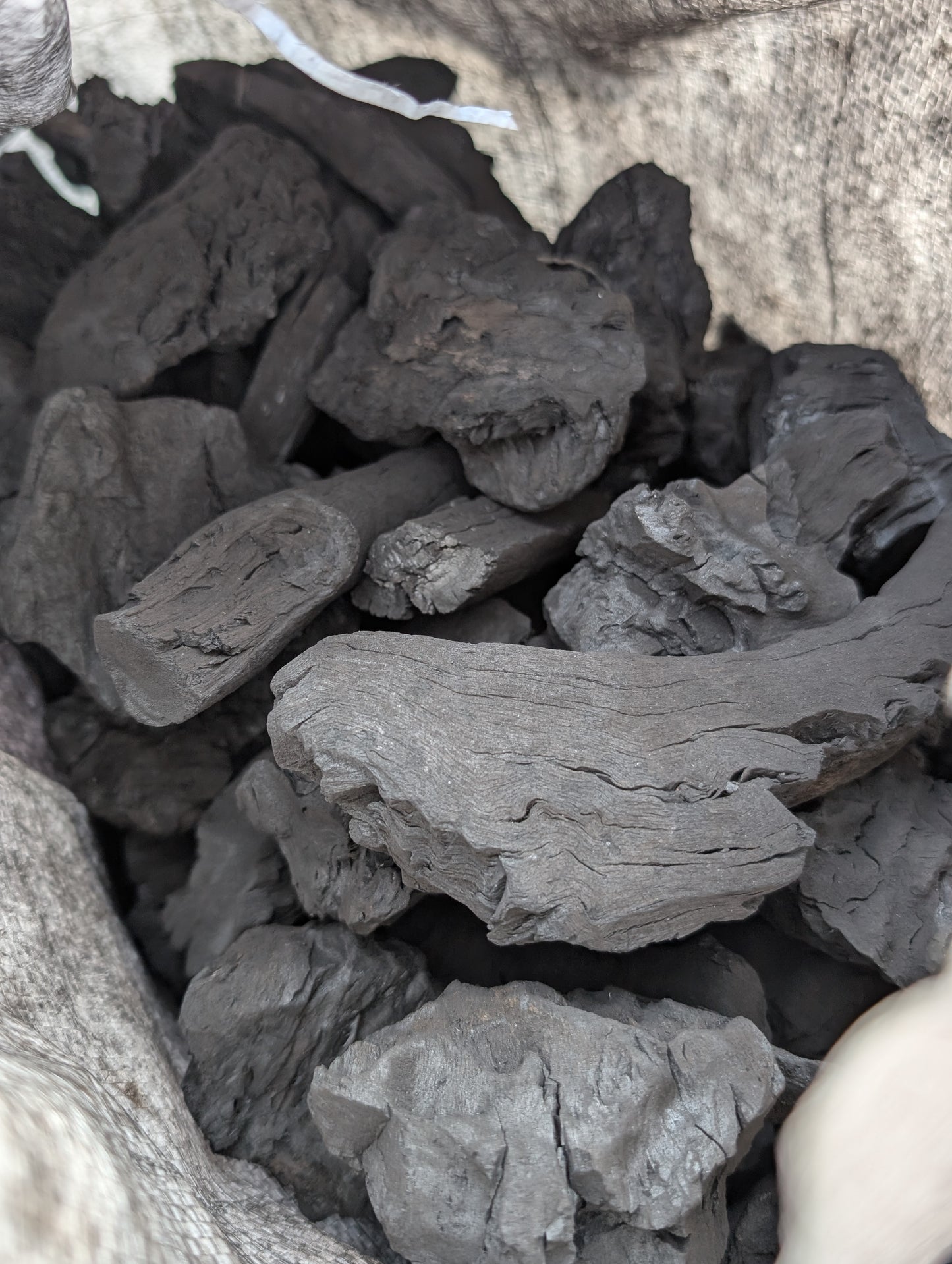 Wattle & Flame Mallee Root Charcoal - Signature